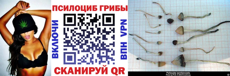 Псилоцибиновые грибы ЛСД Великие Луки